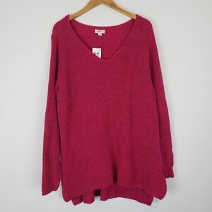 Style & Co v-neck knit tunic top
